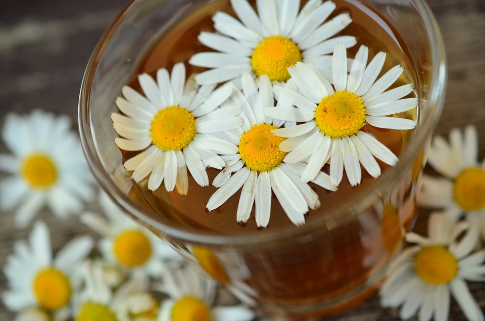 chamomile-829220_960_720