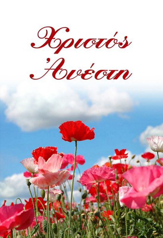 b0402440dc69641baaec411dc0f1d0ae