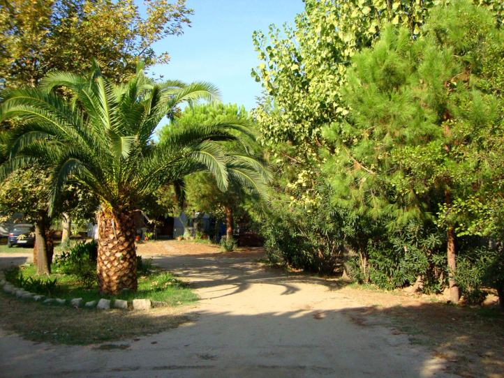 5925598548_d1bd52dcc5_b